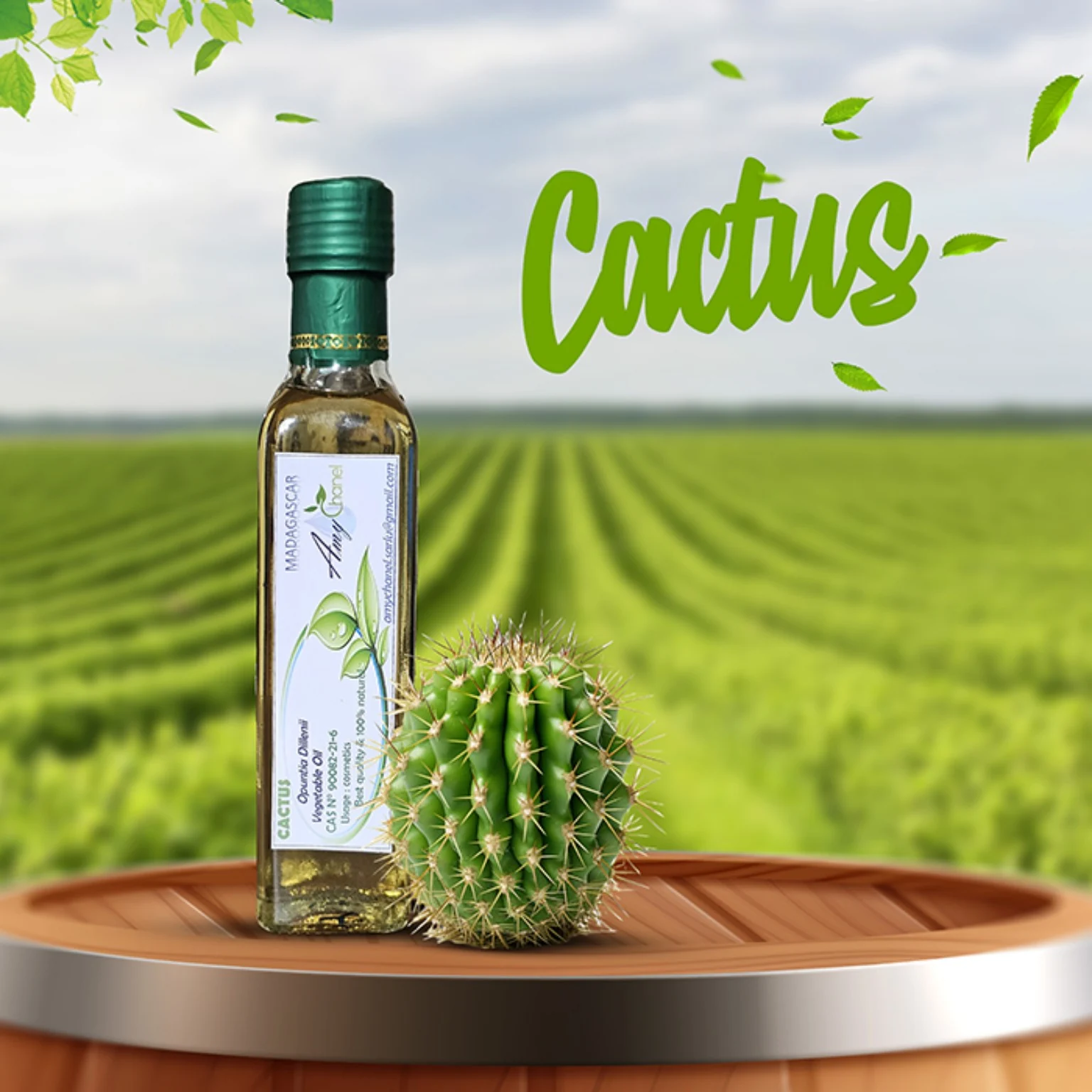 Préparation artisanale de fruits de cactus